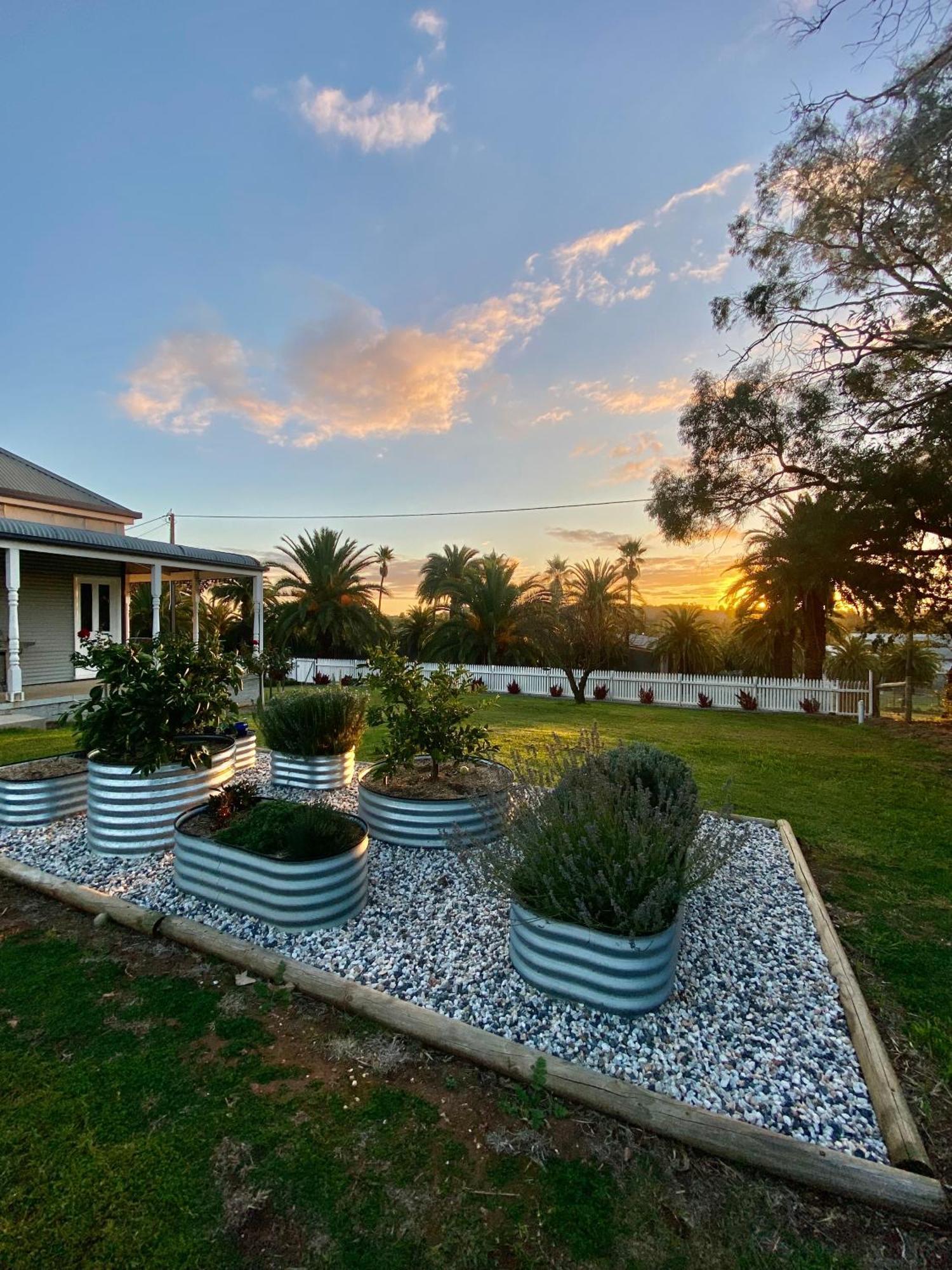 The Cottage At Seppeltsfield, Barossa Valley المظهر الخارجي الصورة